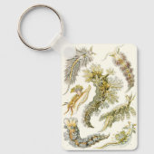 ヴィンテージシースラグとカタツムリby Ernst Haeckel キーホルダー (正面)