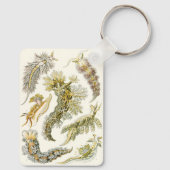 ヴィンテージシースラグとカタツムリby Ernst Haeckel キーホルダー (裏面)