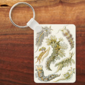 ヴィンテージシースラグとカタツムリby Ernst Haeckel キーホルダー (正面)