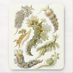 ヴィンテージシースラグとカタツムリby Ernst Haeckel マウスパッド