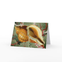 ヴィンテージシーセル折り畳みノートカード