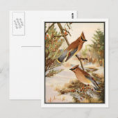 ヴィンテージシーダーワックスウィングバイロバート・ブルース・ホースフォール ポストカード (正面/裏面)