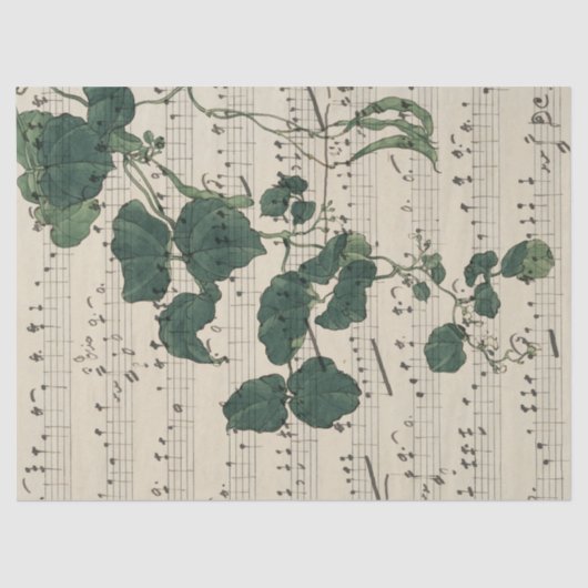 ヴィンテージシート音楽葉の分離ティッシュペーパー 薄葉紙 (正面)