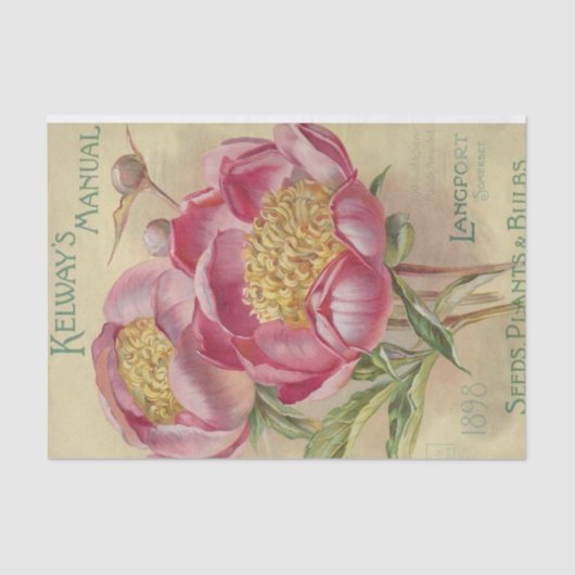 ヴィンテージシードカタログケルウェイのマニュアルシード1898 薄葉紙 (正面)