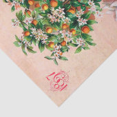 ヴィンテージシードカタログコテージバラガーデン， 1897 薄葉紙 (詳細)