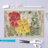 ヴィンテージシードカタログコナードジョーンズ， 1898 薄葉紙 (クラフト)