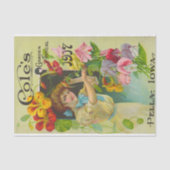 ヴィンテージシードカタログコールの1907 薄葉紙 (正面)