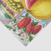 ヴィンテージシードカタログサルザーズゴールデンスイカ 薄葉紙 (詳細)