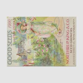 ヴィンテージシードカタログノルツラップ1900 薄葉紙