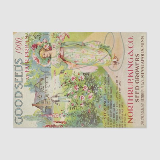 ヴィンテージシードカタログノルツラップ1900 薄葉紙 (正面)