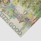 ヴィンテージシードカタログノルツラップ1900 薄葉紙 (詳細)