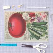 ヴィンテージシードカタログバイスト社 薄葉紙 (クラフト)