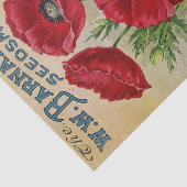 ヴィンテージシードカタログバーナード球根、低木1913 薄葉紙 (詳細)