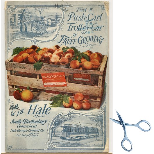 ヴィンテージシードカタログヘールズ桃 薄葉紙