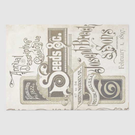 ヴィンテージシードカタログ分離アイボリー区分 薄葉紙 (正面)