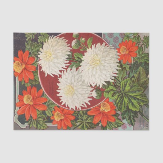 ヴィンテージシードカタログ菊 薄葉紙 (正面)