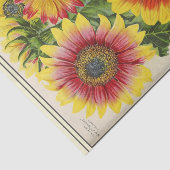 ヴィンテージシードカタログ赤と金ゴールドひまわり 薄葉紙 (詳細)