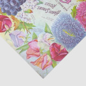 ヴィンテージシードカタログ農家シード会社 薄葉紙 (詳細)