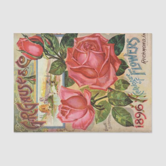 ヴィンテージシードカタログ1896 G.R. Gause 薄葉紙 (正面)