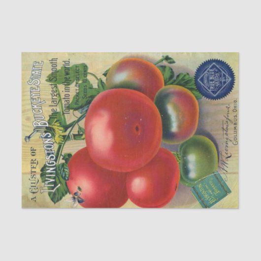 ヴィンテージシードカタログ、リビングストンズバッキー州 薄葉紙 (正面)