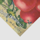 ヴィンテージシードカタログ、リビングストンズバッキー州 薄葉紙 (詳細)