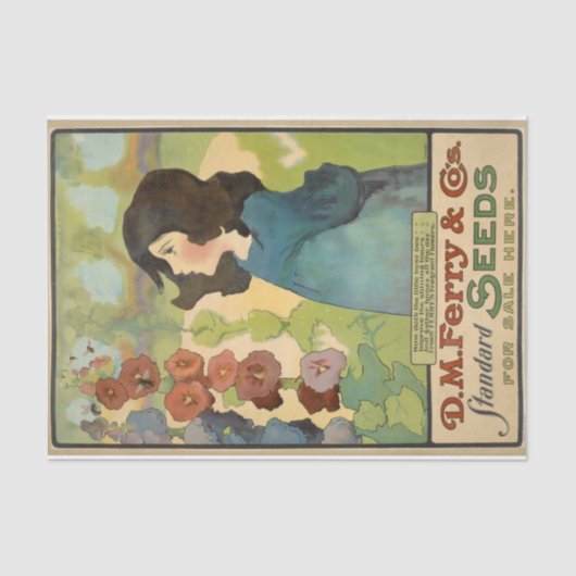 ヴィンテージシードカタログ， D.M.フェリー標準シード 薄葉紙 (正面)