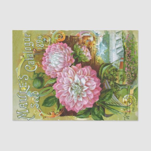 ヴィンテージシードカタログ、Maule's 1894 薄葉紙 (正面)