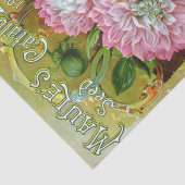 ヴィンテージシードカタログ、Maule's 1894 薄葉紙 (詳細)