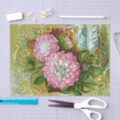 ヴィンテージシードカタログ、Maule's 1894 薄葉紙 (クラフト)