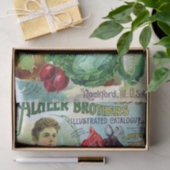 ヴィンテージシードカタログAlneer Brothers 1896 薄葉紙 (ギフト)