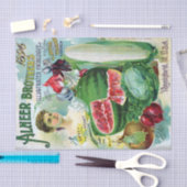 ヴィンテージシードカタログAlneer Brothers 1896 薄葉紙 (クラフト)