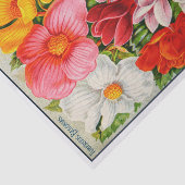 ヴィンテージシードカタログBegonias 薄葉紙 (詳細)