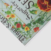 ヴィンテージシードカタログDiggsとBeadles 1915 薄葉紙 (詳細)