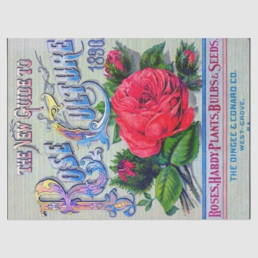 ヴィンテージシードカタログDingee Conardバラ文化 薄葉紙 (正面)