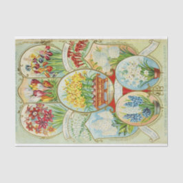 ヴィンテージシードカタログDingee Conard花 薄葉紙