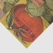 ヴィンテージシードカタログMauleのRuby King 薄葉紙 (詳細)