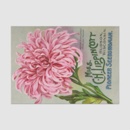 ヴィンテージシードカタログMs Lippincott花 薄葉紙