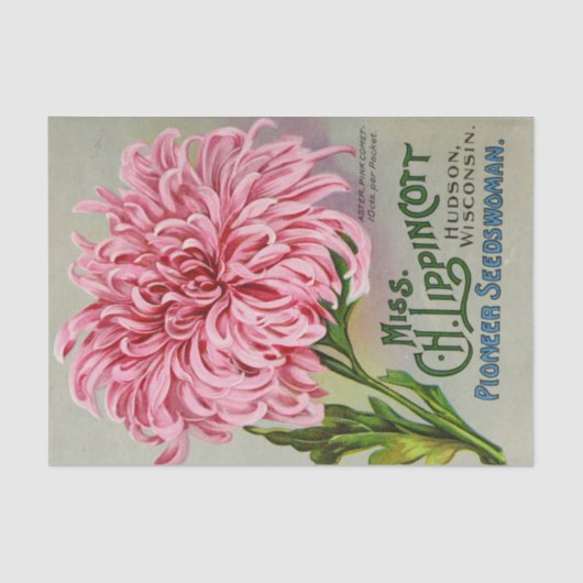 ヴィンテージシードカタログMs Lippincott花 薄葉紙 (正面)