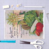 ヴィンテージシードカタログSt.Louis Seed Company 薄葉紙 (クラフト)