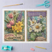 ヴィンテージシードカタロケx 2デザイン 薄葉紙 (クラフト)