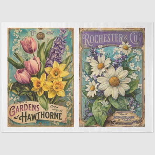 ヴィンテージシードカタロケx 2デザイン 薄葉紙 (正面)