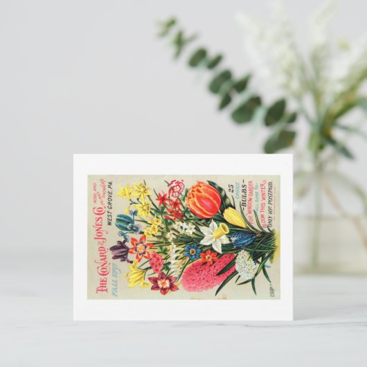 ヴィンテージシードパケットのはがき ポストカード (スタンド正面)