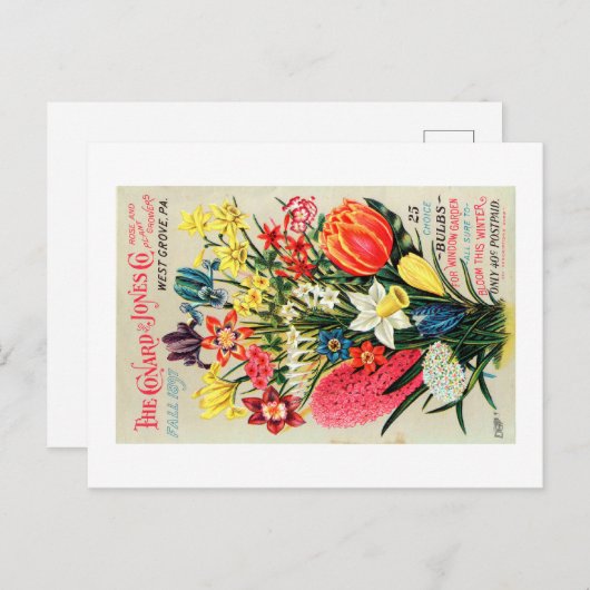 ヴィンテージシードパケットのはがき ポストカード (正面/裏面)