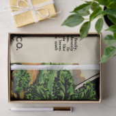 ヴィンテージシードパケットのケールと手順 薄葉紙 (ギフト)