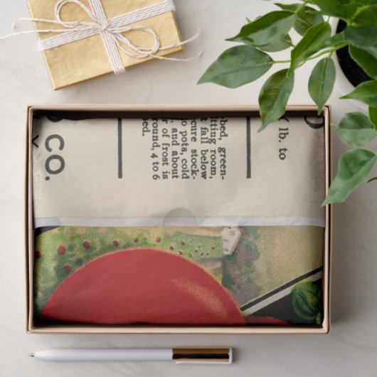 ヴィンテージシードパケットのトマトと指示 薄葉紙 (ギフト)