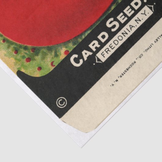 ヴィンテージシードパケットのトマトと指示 薄葉紙 (詳細)