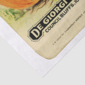 ヴィンテージシードパケットの玉ねぎと指示 薄葉紙 (詳細)