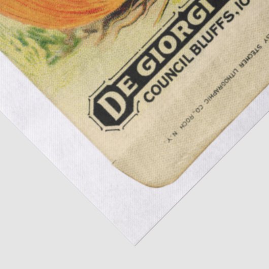 ヴィンテージシードパケットの玉ねぎと指示 薄葉紙 (詳細)