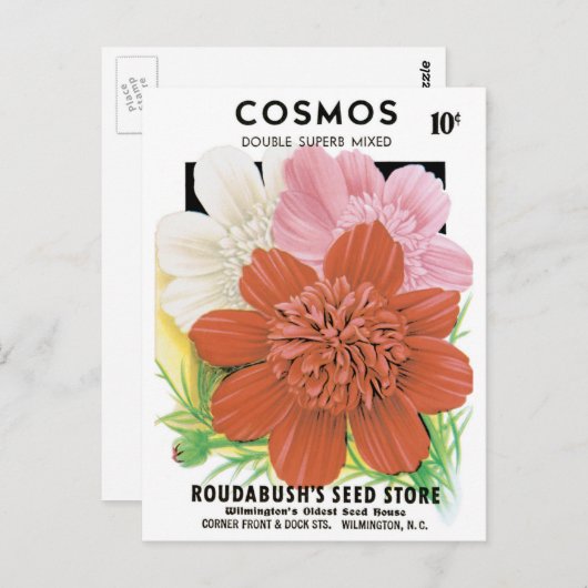 ヴィンテージシードパケットアートコスモスガーデンフラワーズ ポストカード (正面/裏面)