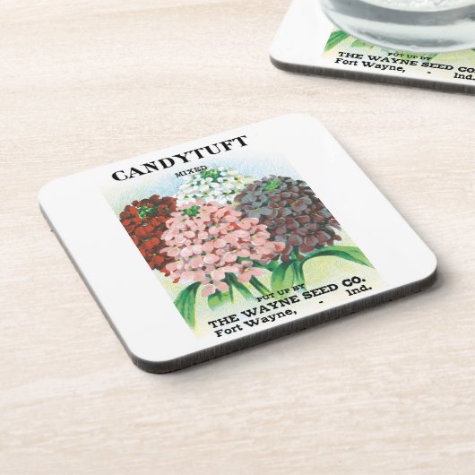 ヴィンテージシードパケットアート、キャンディトゥフトガーデンフラワー コースター (左側)